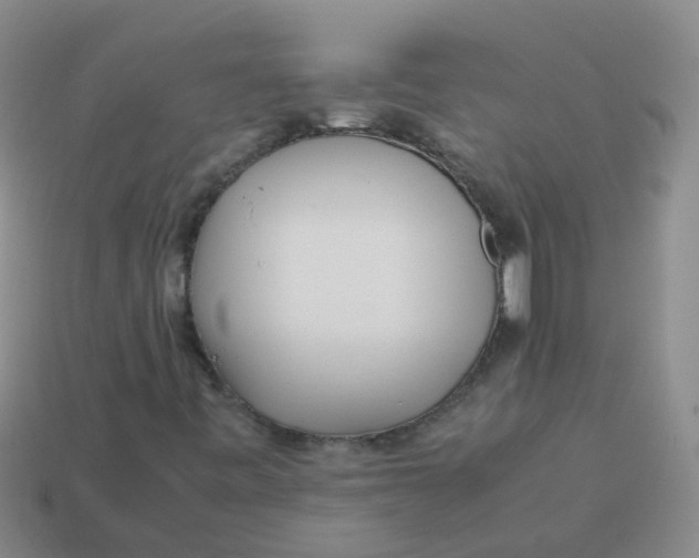 X0000113561443200910161446