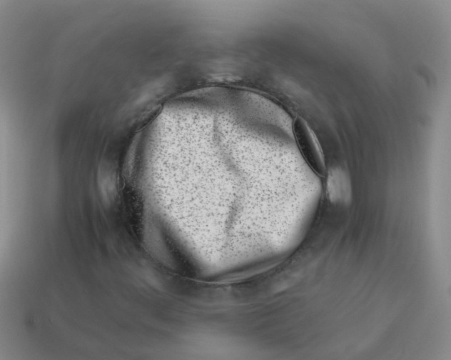 X0000113561444200910161446