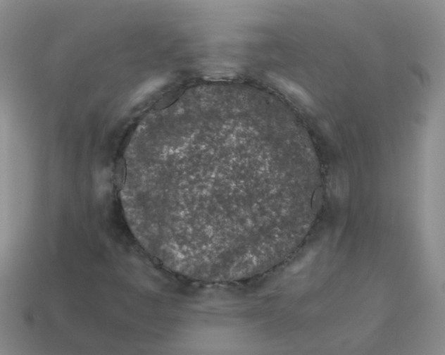 X0000113561445200910161446