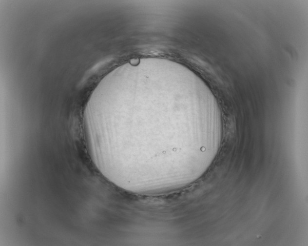 X0000113561446200910161446