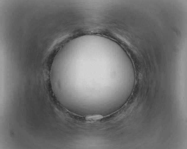 X0000113561447200910161446