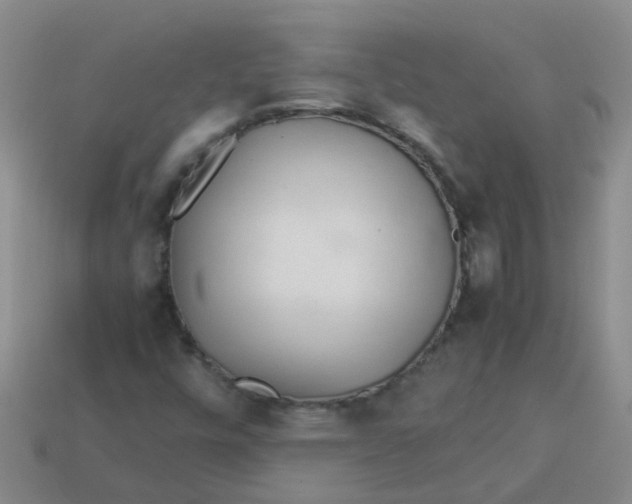 X0000113561448200910161446
