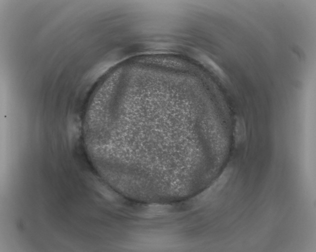 X0000113561449200910161446