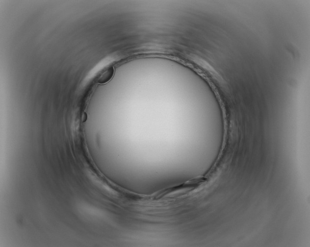 X0000113561450200910161446