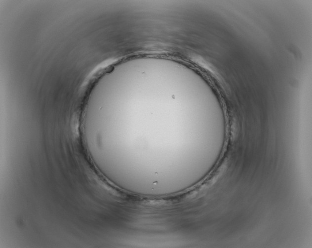 X0000113561451200910161446