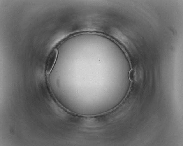 X0000113561452200910161446