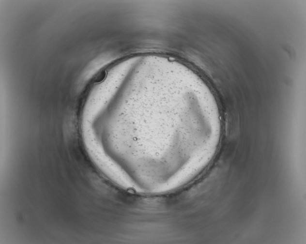 X0000113561453200910161446