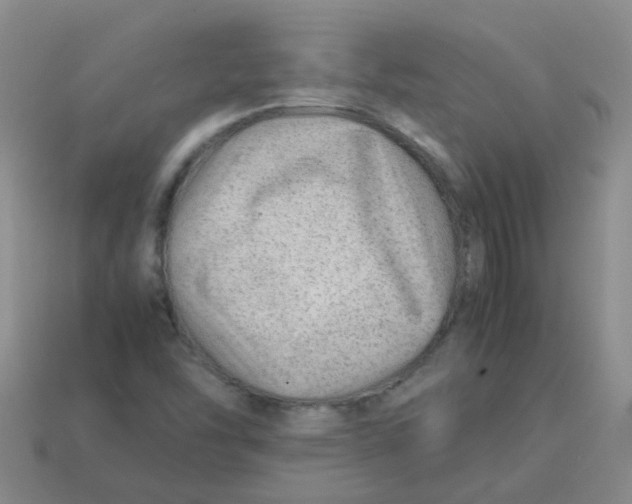 X0000113561454200910161446