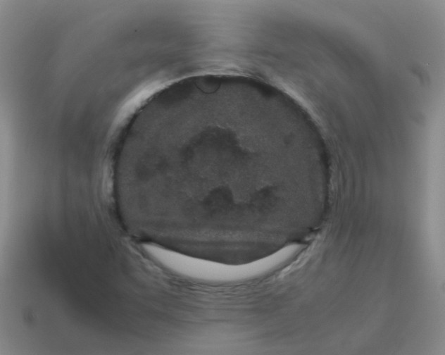 X0000113561455200910161446