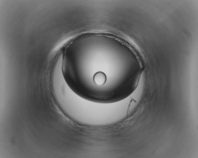 X0000113561456200910161445