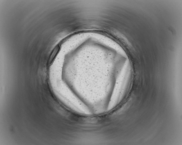 X0000113561457200910161445
