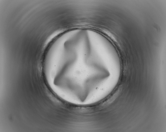 X0000113561458200910161445
