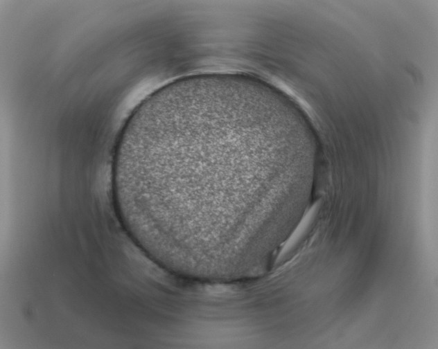 X0000113561459200910161445
