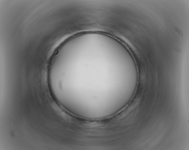 X0000113561460200910161445