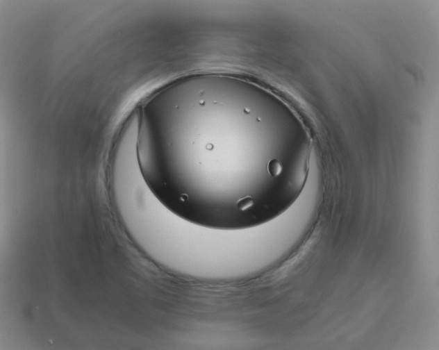X0000113561461200910161445