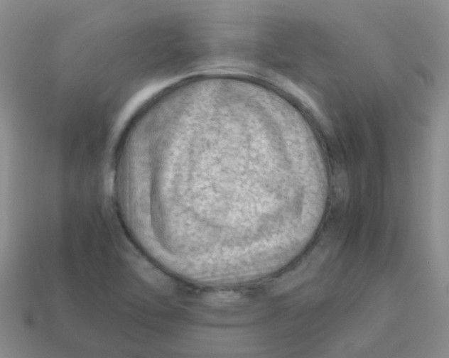 X0000113561462200910161445
