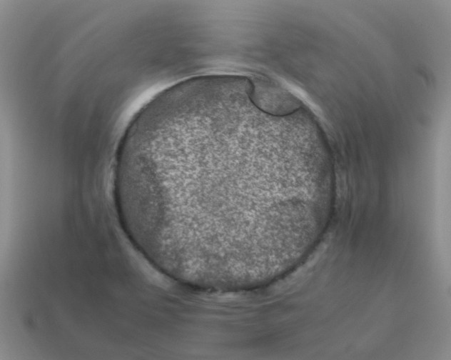X0000113561463200910161445