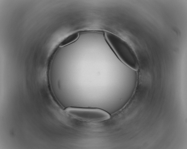 X0000113561464200910161445