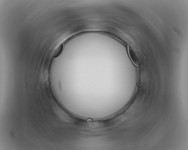 X0000113561465200910161445
