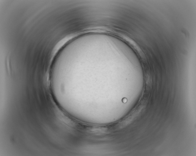 X0000113561466200910161445