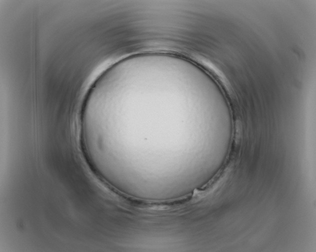 X0000113561467200910161445