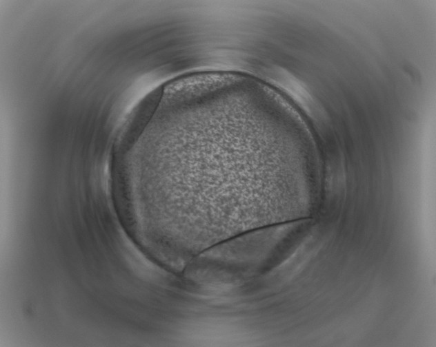 X0000113561468200910161445