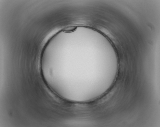 X0000113561469200910161445