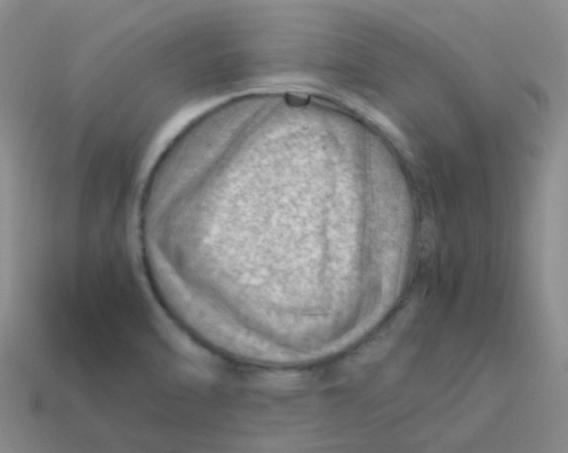 X0000113561470200910161445