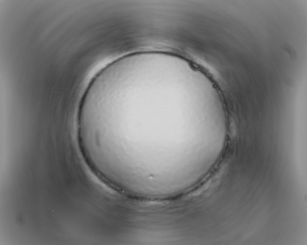 X0000113561471200910161445