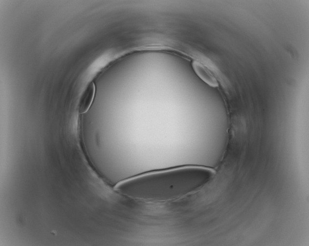 X0000113561472200910161445