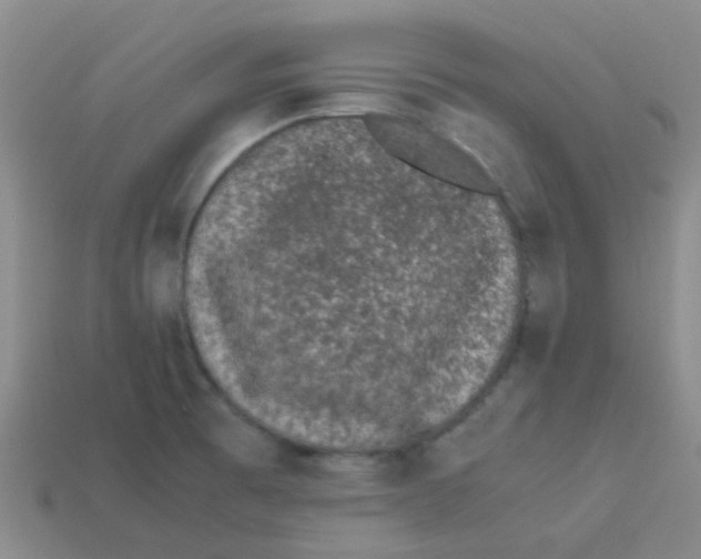 X0000113561473200910161445