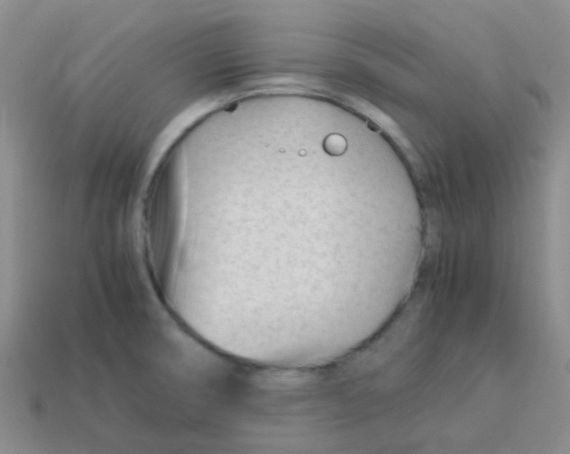 X0000113561474200910161445