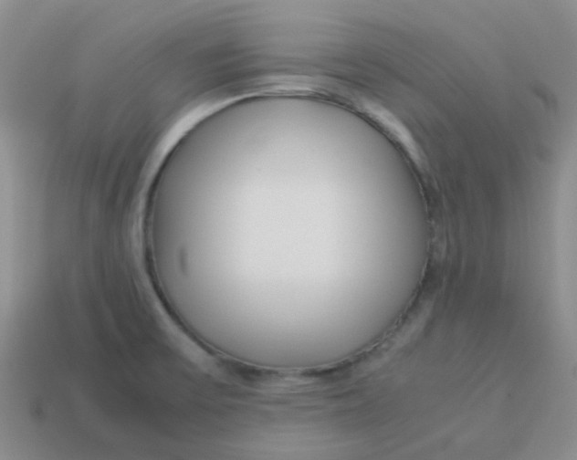 X0000113561475200910161445