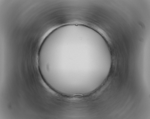 X0000113561476200910161445