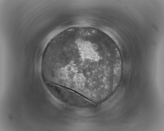 X0000113561477200910161445