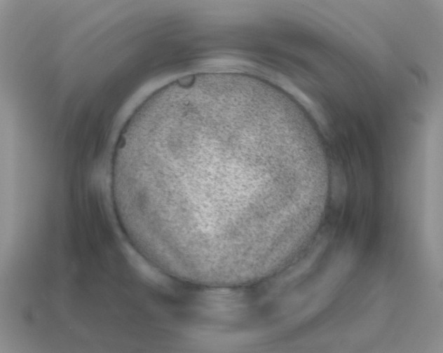 X0000113561478200910161445