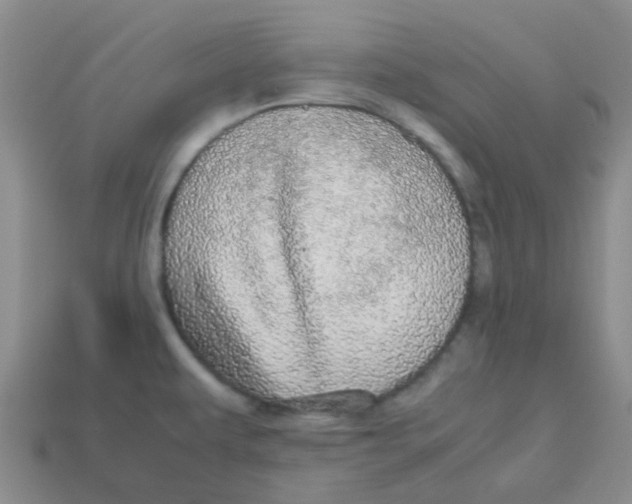 X0000113561479200910161445