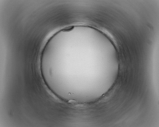 X0000113561480200910161445