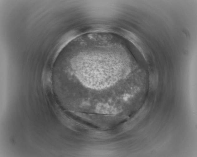 X0000113561481200910161445