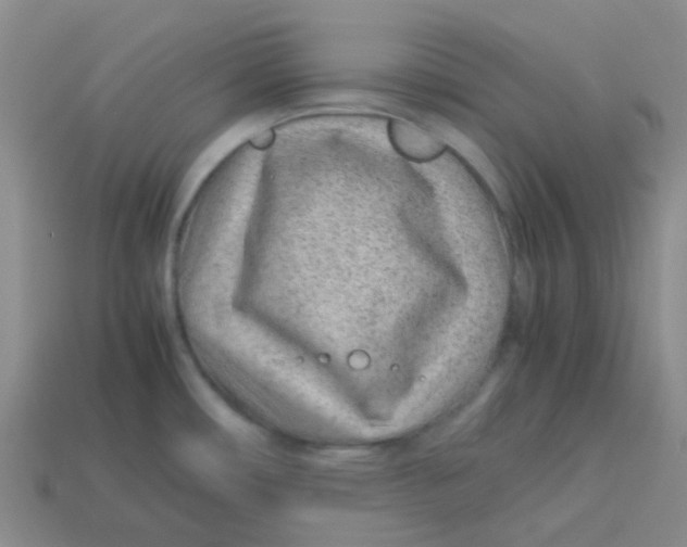 X0000113561482200910161445