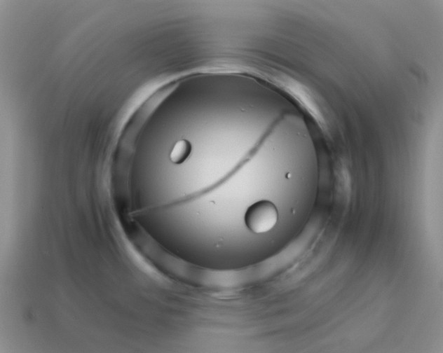X0000113561484200910161445