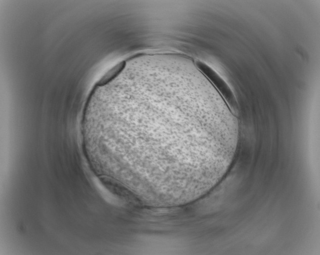 X0000113561485200910161445