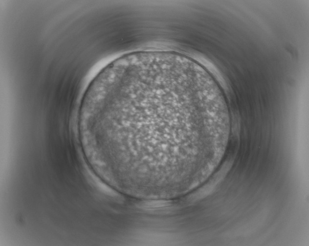 X0000113561486200910161445