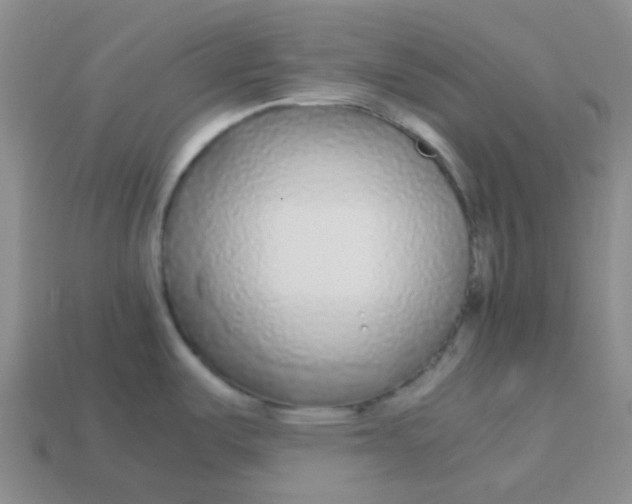 X0000113561487200910161445