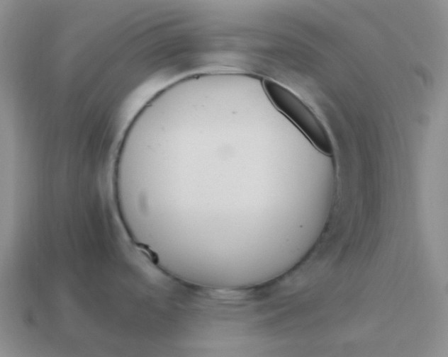X0000113561488200910161445