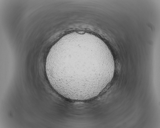 X0000113561489200910161444