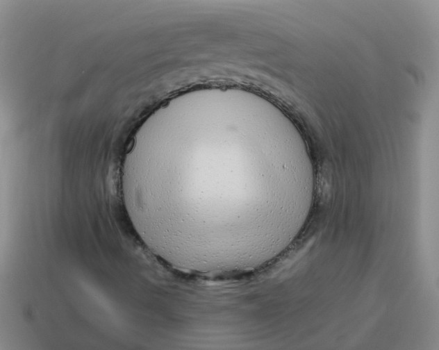 X0000113561490200910161444