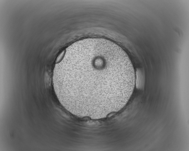 X0000113561491200910161444