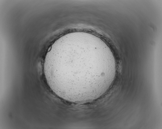 X0000113561493200910161444