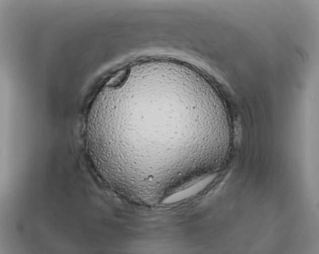 X0000113561494200910161444